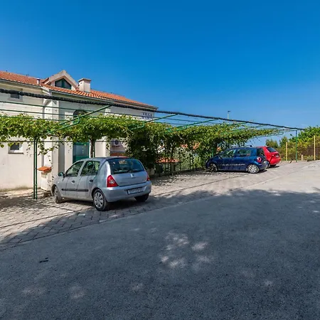 Balica Rat 4868a Celina